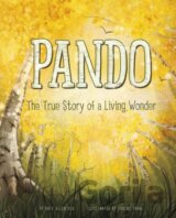 Pando