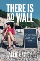 There is No Wall