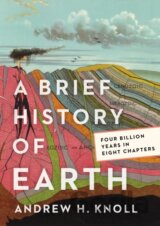 A Brief History of Earth