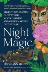 Night Magic