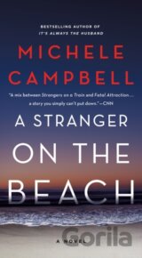 A Stranger on the Beach