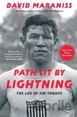 Path Lit by Lightning