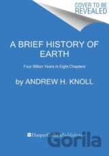 A Brief History of Earth