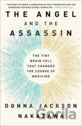 The Angel and the Assassin