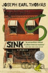 Sink