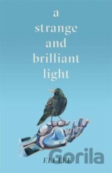 A Strange and Brilliant Light: Winner of the Writers’ Guild Best First Novel Award
