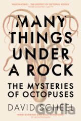 Many Things Under a Rock