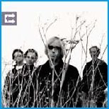 Petty Tom & The Heartbreakers - Echo