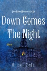 Down Comes the Night