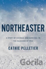 Northeaster