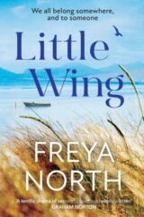 Little Wing