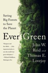 Ever Green