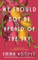 We Should Not Be Afraid of the Sky