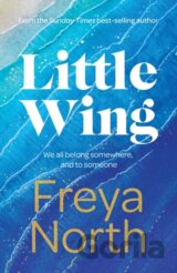 Little Wing