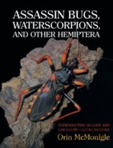 Assassin Bugs, Waterscorpions, and Other Hemiptera