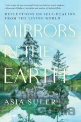 Mirrors in the Earth