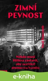 Zimní pevnost