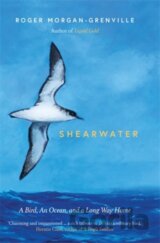 Shearwater