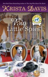 Big Little Spies