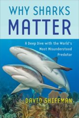Why Sharks Matter