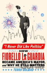 I Never Did Like Politics