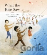 What the Kite Saw
