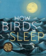 How Birds Sleep
