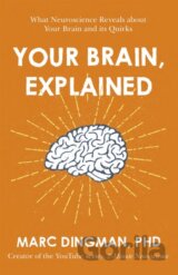 Your Brain, Explained