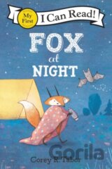 Fox at Night