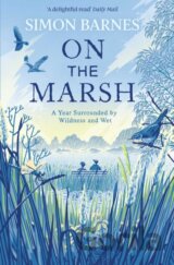On the Marsh
