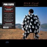 Pink Floyd: Delicate Sound Of Thunder  [LP]