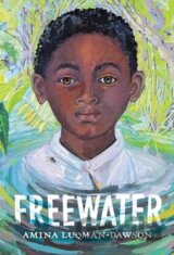 Freewater (Newbery & Coretta Scott King Award Winner)