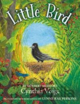 Little Bird