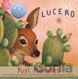 Lucero