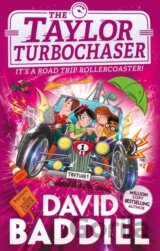 The Taylor TurboChaser