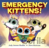 Emergency Kittens!