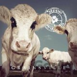 Steve N Seagulls: Grainsville LP