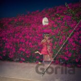 Feist: Pleasure LP