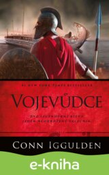 Vojevůdce