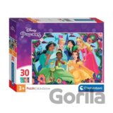 Disney Princezny