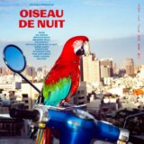 Antoine Corriveau: Oiseau De Nuit