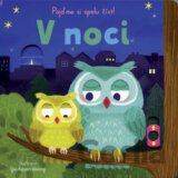 V noci