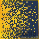 Pinegrove: Marigold / Yellow Coloured LP