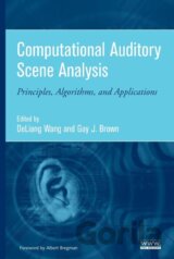 Computational Auditory Analysis