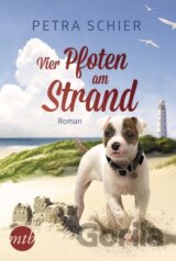 Vier Pfoten am Strand