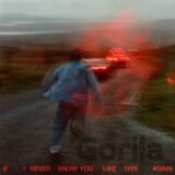 Soak: If I Never Know You Li. Like This Again  LP