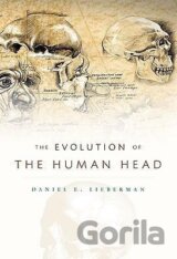 Evolution of the Human Head