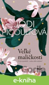 Veľké maličkosti