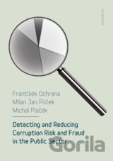 Detecting and reducing corruption risk and fraud in the public sector