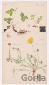 Hilma af Klint